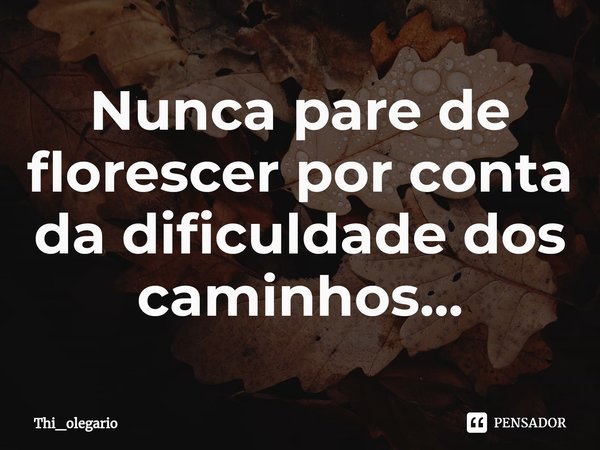 ⁠Nunca pare de florescer por conta da dificuldade dos caminhos...... Frase de Thi_olegario.