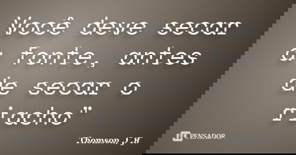 Você deve secar a fonte, antes de secar o riacho"... Frase de Thomson, J. R..