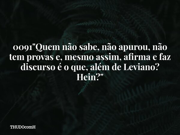 0091 "Quem não sabe, não apurou, não tem provas e, mesmo assim, afirma e faz discurso é o que, além de Leviano? Hein?"... Frase de THUDOcomH.