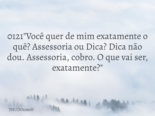 0121 "Você quer de mim exatamente o quê? Assessoria ou Dica? Dica não dou. Assessoria, cobro. O que vai ser, exatamente?"... Frase de THUDOcomH.