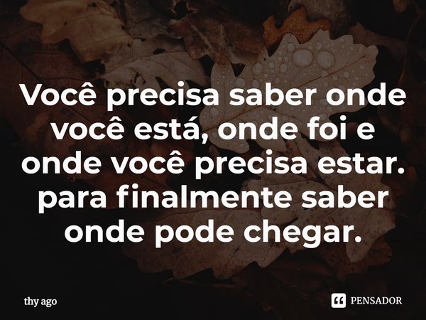 ⁠Você precisa saber onde você está, onde foi e onde você precisa estar. para finalmente saber onde pode chegar.... Frase de thy ago.