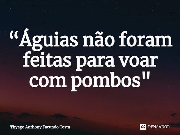 ⁠“Águias não foram feitas para voar com pombos"... Frase de Thyago Anthony Facundo Costa.