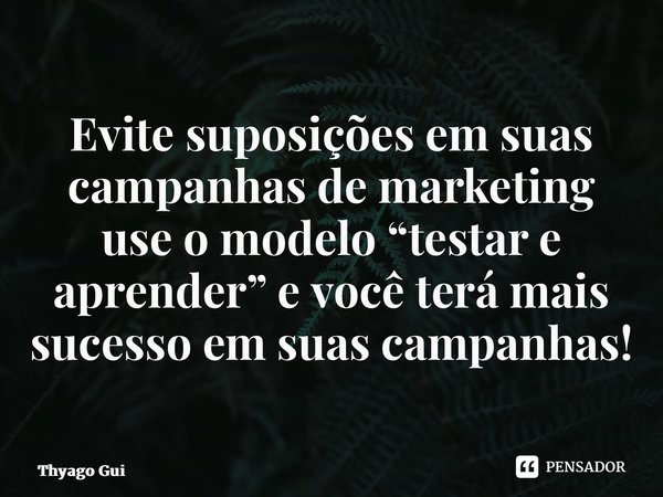 ⁠Evite suposições em suas campanhas de marketing use o modelo “testar e aprender” e você terá mais sucesso em suas campanhas!... Frase de Thyago Guimarães.