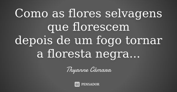 Como as flores selvagens que florescem depois de um fogo tornar a floresta negra...... Frase de Thyanne Câmara.