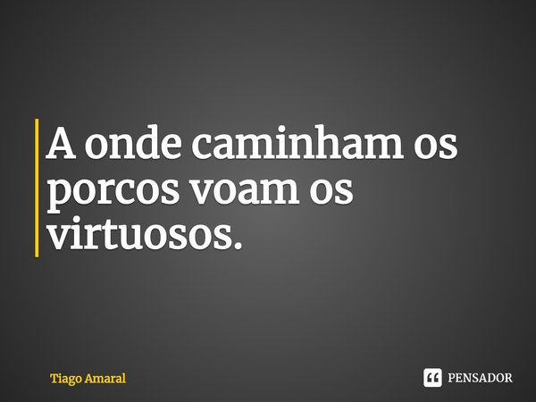 ⁠A onde caminham os porcos voam os virtuosos.... Frase de Tiago Amaral.