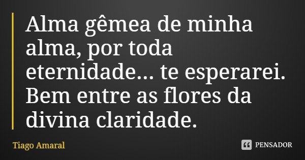 Alma gêmea de minha alma, por toda eternidade... te esperarei. Bem entre as flores da divina claridade.... Frase de Tiago Amaral.