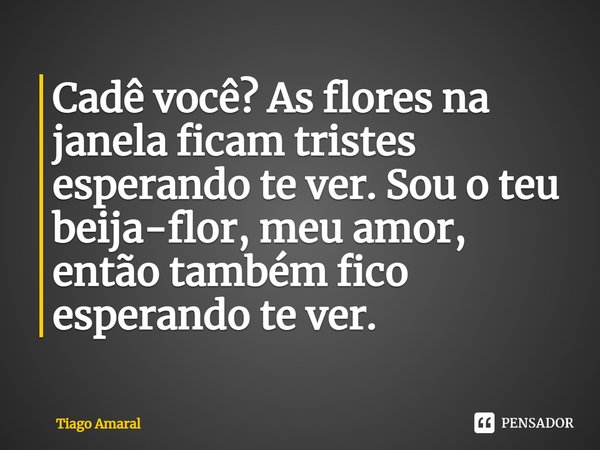 ⁠Cadê você? As flores na janela ficam tristes esperando te ver. Sou o teu beija-flor, meu amor, então também fico esperando te ver.... Frase de Tiago Amaral.