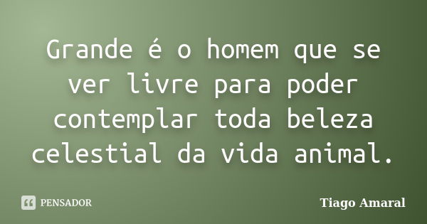 Grande é o homem que se ver livre para poder contemplar toda beleza celestial da vida animal.... Frase de Tiago Amaral.