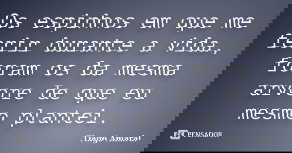 Os espinhos em que me ferir durante a vida, foram os da mesma arvore de que eu mesmo plantei.... Frase de Tiago Amaral.