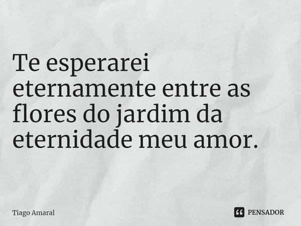 ⁠Te esperarei eternamente entre as flores do jardim da eternidade meu amor.... Frase de Tiago Amaral.