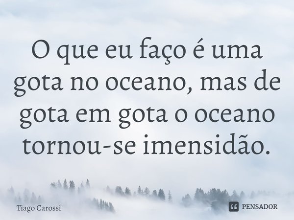 ⁠O que eu faço é uma gota no oceano, mas de gota em gota o oceano tornou-se imensidão.... Frase de Tiago Carossi.