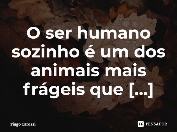 ⁠O ser humano sozinho é um dos animais mais frágeis que existe.... Frase de Tiago Carossi.
