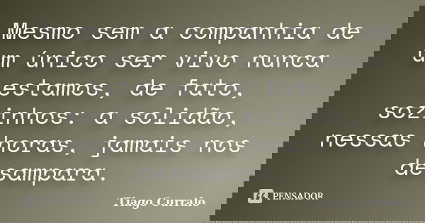 Mesmo sem a companhia de um único ser vivo nunca estamos, de fato, sozinhos: a solidão, nessas horas, jamais nos desampara.... Frase de Tiago Curralo.