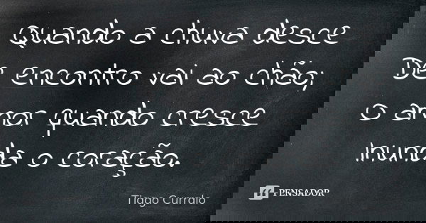 Quando a chuva desce De encontro vai ao chão; O amor quando cresce Inunda o coração.... Frase de Tiago Curralo.