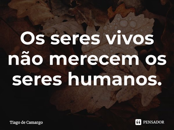⁠Os seres vivos não merecem os seres humanos.... Frase de Tiago de Camargo.