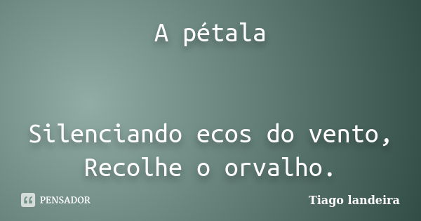 A pétala Silenciando ecos do vento, Recolhe o orvalho.... Frase de Tiago Landeira.