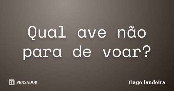 Qual ave não para de voar?... Frase de Tiago Landeira.