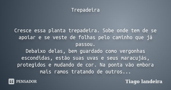 Trepadeira Cresce essa planta trepadeira. Sobe onde tem de se apoiar e se veste de folhas pelo caminho que já passou. Debaixo delas, bem guardado como vergonhas... Frase de Tiago Landeira.