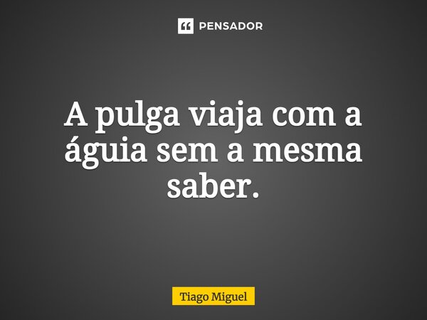 ⁠⁠A pulga viaja com a águia sem a mesma saber.... Frase de Tiago Miguel.