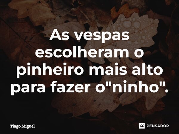 ⁠As vespas escolheram o pinheiro mais alto para fazer o "ninho".... Frase de Tiago Miguel.