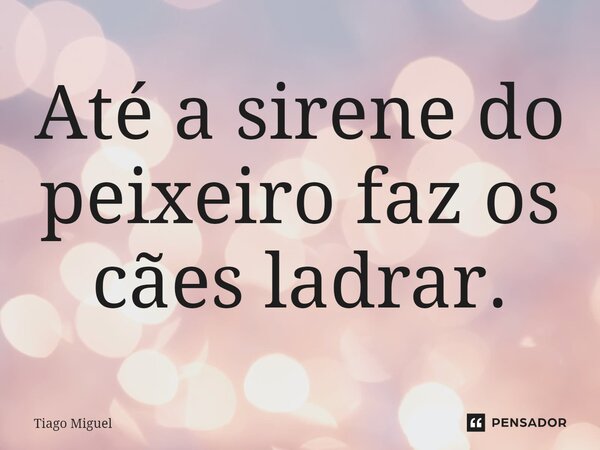 Até a sirene do peixeiro faz os cães ladrar.... Frase de Tiago Miguel.