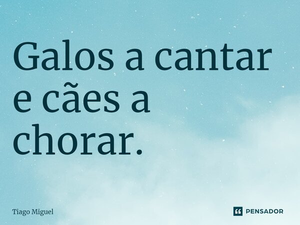 ⁠Galos a cantar e cães a chorar.... Frase de Tiago Miguel.