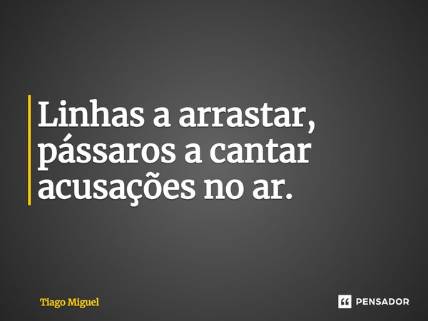 Linhas a arrastar, pássaros a cantar acusações no ar.... Frase de Tiago Miguel.