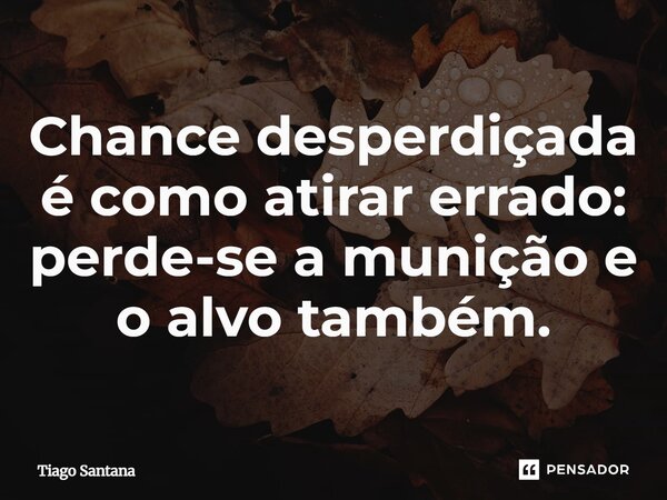 Chance desperdiçada é como atirar errado: perde-se a munição e o alvo também.... Frase de Tiago Santana.