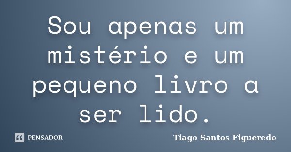 Sou apenas um mistério e um pequeno livro a ser lido.... Frase de Tiago Santos Figueredo.