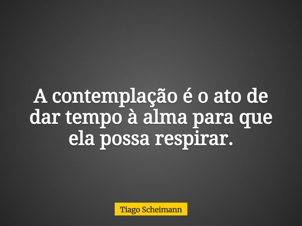 A contemplação é o ato de dar tempo à alma para que ela possa respirar.... Frase de Tiago Scheimann.