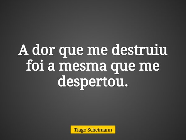 A dor que me destruiu foi a mesma que me despertou.... Frase de Tiago Scheimann.