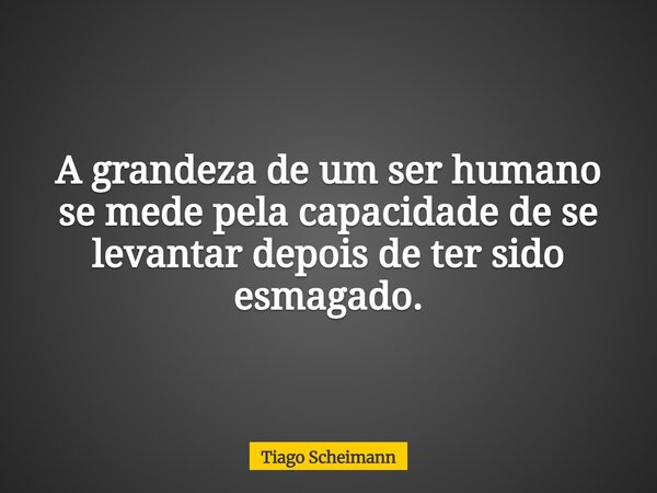 A grandeza de um ser humano se mede pela capacidade de se levantar depois de ter sido esmagado.... Frase de Tiago Scheimann.
