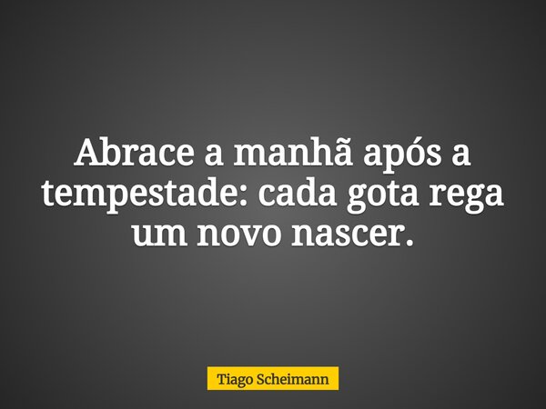 Abrace a manhã após a tempestade: cada gota rega um novo nascer.... Frase de Tiago Scheimann.