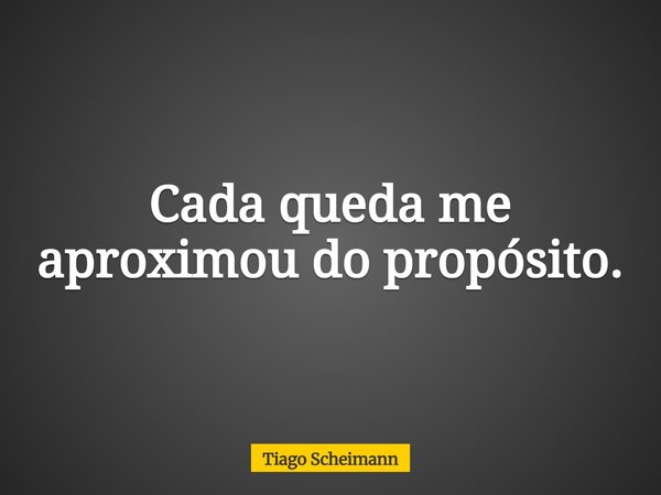 Cada queda me aproximou do propósito.... Frase de Tiago Scheimann.