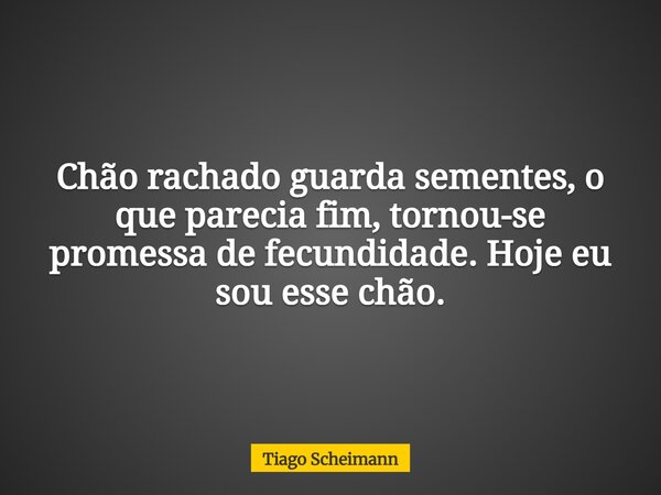 Chão rachado guarda sementes, o que parecia fim, tornou-se promessa de fecundidade. Hoje eu sou esse chão.... Frase de Tiago Scheimann.