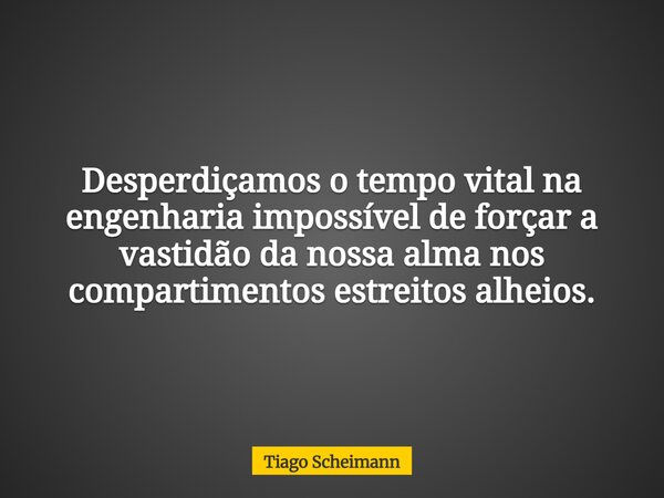 Desperdiçamos o tempo vital na engenharia impossível de forçar a vastidão da nossa alma nos compartimentos estreitos alheios.... Frase de Tiago Scheimann.