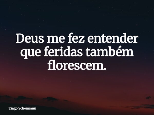 Deus me fez entender que feridas também florescem.... Frase de Tiago Scheimann.