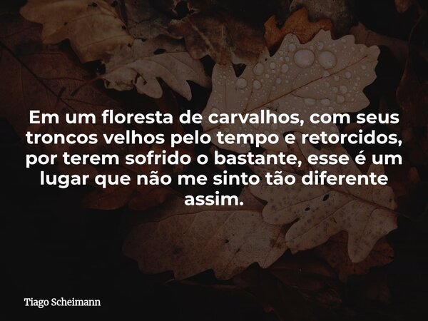 Em um floresta de carvalhos, com seus troncos velhos pelo tempo e retorcidos, por terem sofrido o bastante, esse é um lugar que não me sinto tão diferente assim... Frase de Tiago Scheimann.