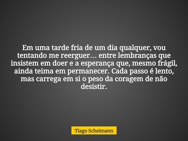 Em uma tarde fria de um dia qualquer, vou tentando me reerguer… entre lembranças que insistem em doer e a esperança que, mesmo frágil, ainda teima em permanecer... Frase de Tiago Scheimann.