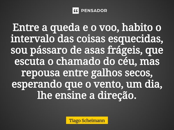Entre a queda e o voo, habito o intervalo das coisas esquecidas, sou pássaro de asas frágeis, que escuta o chamado do céu, mas repousa entre galhos secos, espe... Frase de Tiago Scheimann.