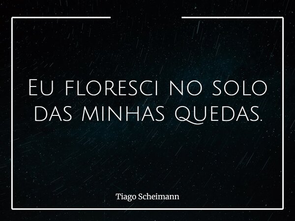 Eu floresci no solo das minhas quedas.... Frase de Tiago Scheimann.