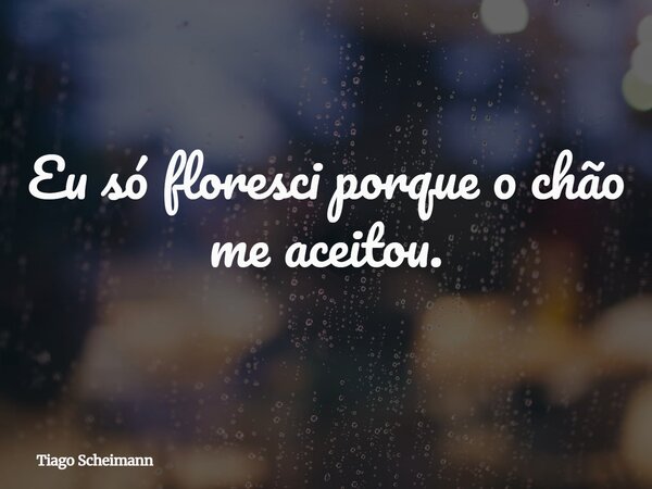 Eu só floresci porque o chão me aceitou.... Frase de Tiago Scheimann.