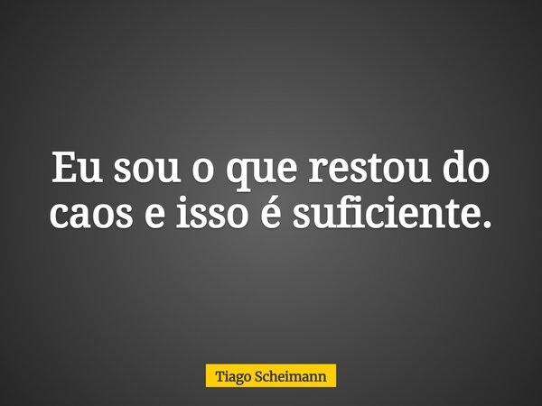 Eu sou o que restou do caos e isso é suficiente.... Frase de Tiago Scheimann.