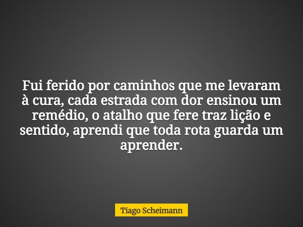 Fui ferido por caminhos que me levaram à cura, cada estrada com dor ensinou um remédio, o atalho que fere traz lição e sentido, aprendi que toda rota guarda um ... Frase de Tiago Scheimann.