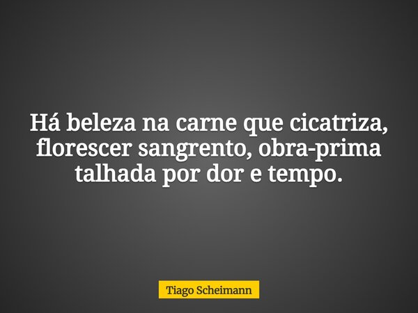 Há beleza na carne que cicatriza, florescer sangrento, obra-prima talhada por dor e tempo.... Frase de Tiago Scheimann.