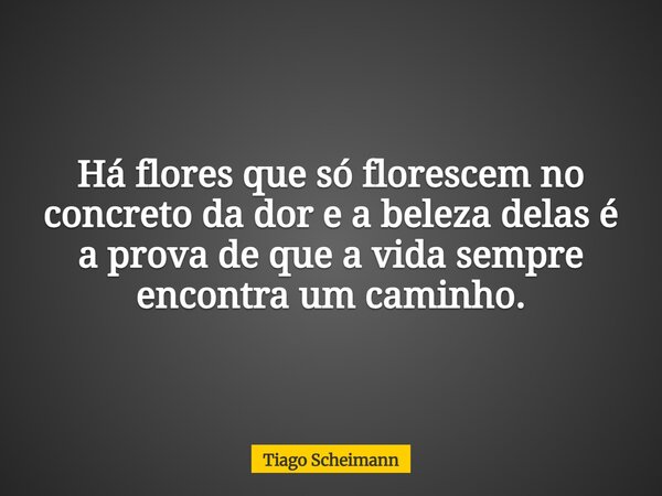 Há flores que só florescem no concreto da dor e a beleza delas é a prova de que a vida sempre encontra um caminho.... Frase de Tiago Scheimann.