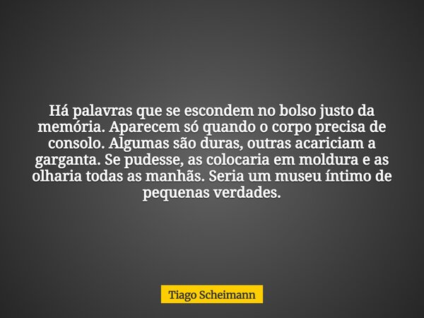 Há palavras que se escondem no bolso justo da memória. Aparecem só quando o corpo precisa de consolo. Algumas são duras, outras acariciam a garganta. Se pudesse... Frase de Tiago Scheimann.