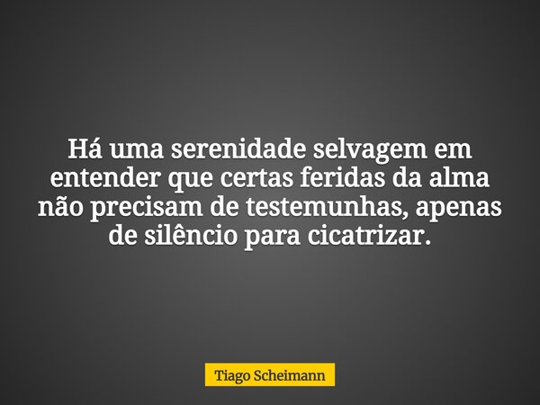 Há uma serenidade selvagem em entender que certas feridas da alma não precisam de testemunhas, apenas de silêncio para cicatrizar.... Frase de Tiago Scheimann.