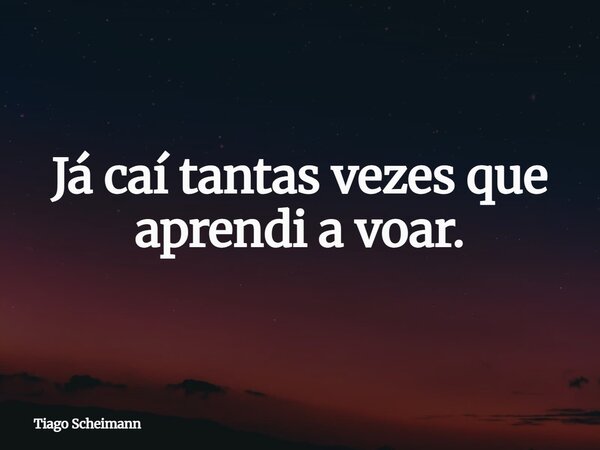 Já caí tantas vezes que aprendi a voar.... Frase de Tiago Scheimann.