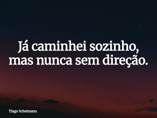 Já caminhei sozinho, mas nunca sem direção.... Frase de Tiago Scheimann.